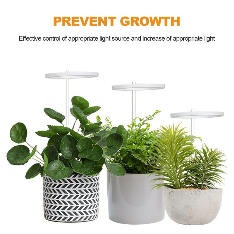 GROWTH LIGHTING FOR INDOOR PLANT