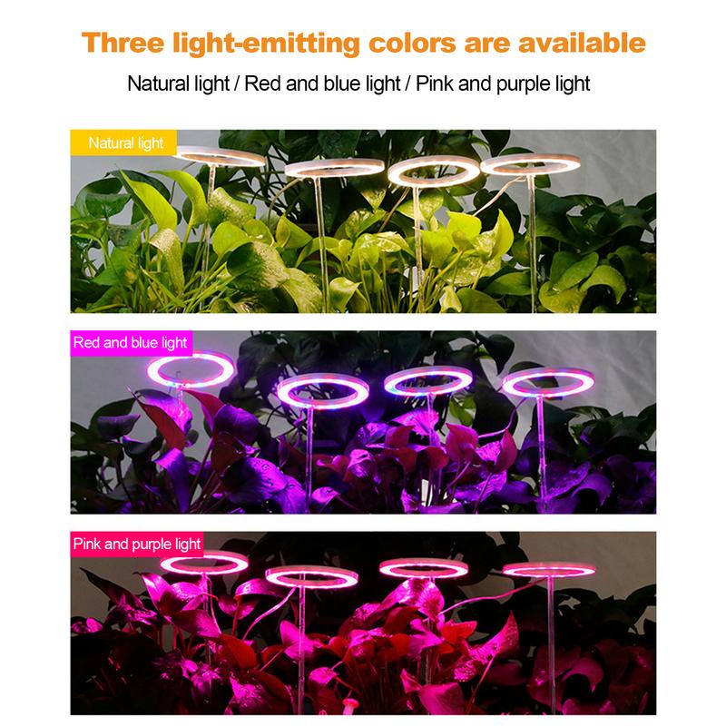 GROWTH LIGHTING FOR INDOOR PLANT